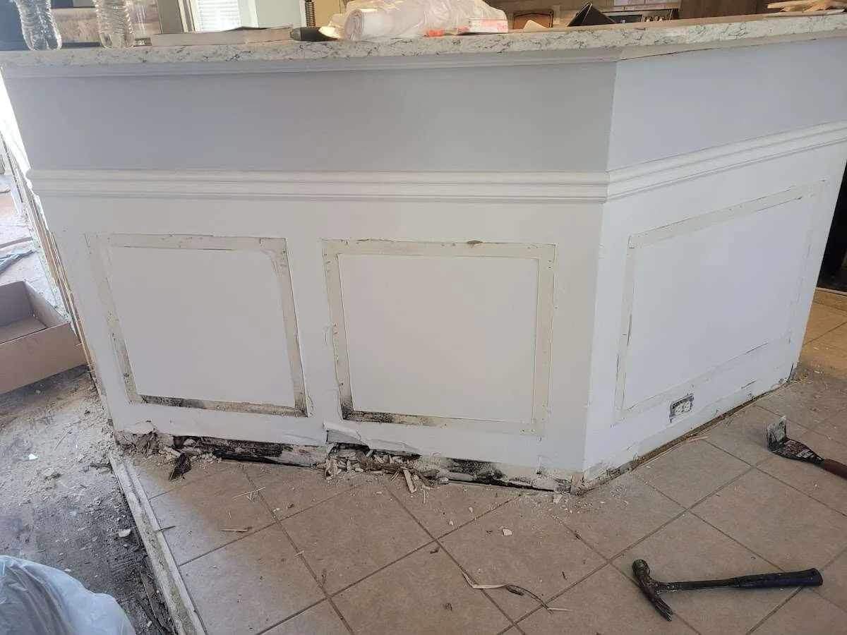 Water damage and mold on kitchen during Sewage Cleanup & Sanitation in Charleston